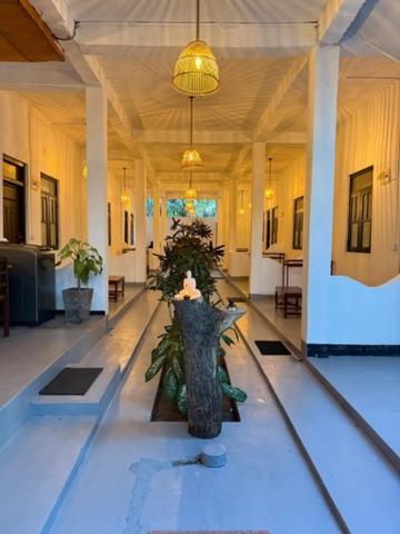 Hotel Sea La Vie à Baie d'Arugam Extérieur photo